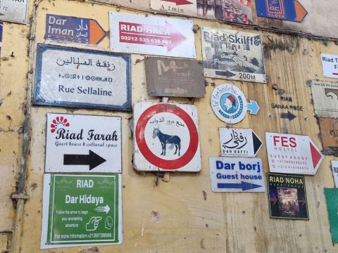 FES al Djedid Contao.jpg
