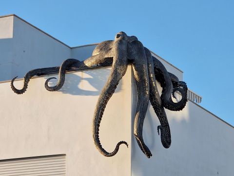 20241210_163759.jpg