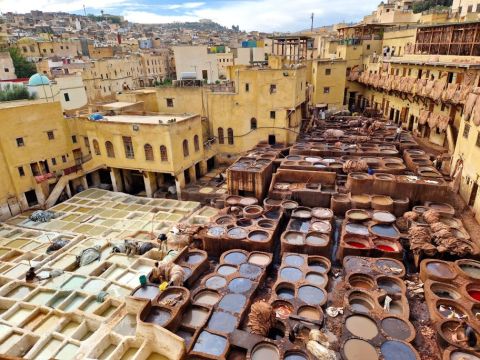 FES GerbereiContao.jpg
