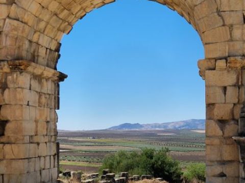 Volubilis3Contao.jpg