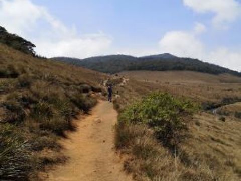 Horton plains Wanderweg.jpg