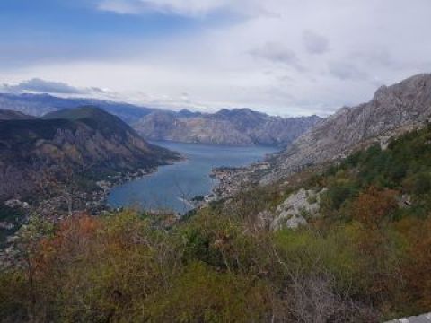 bucht von Kotor Contao.jpg