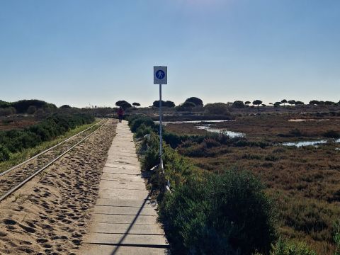 20241210_094133.jpg