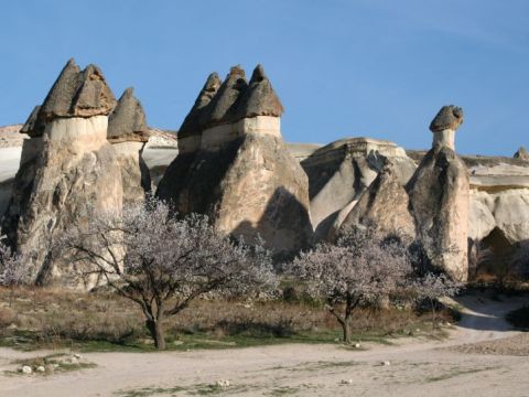 cappadoce cheminées 2.JPG