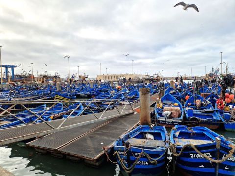 Essaouria Hafen Fischerbote Contao.jpg